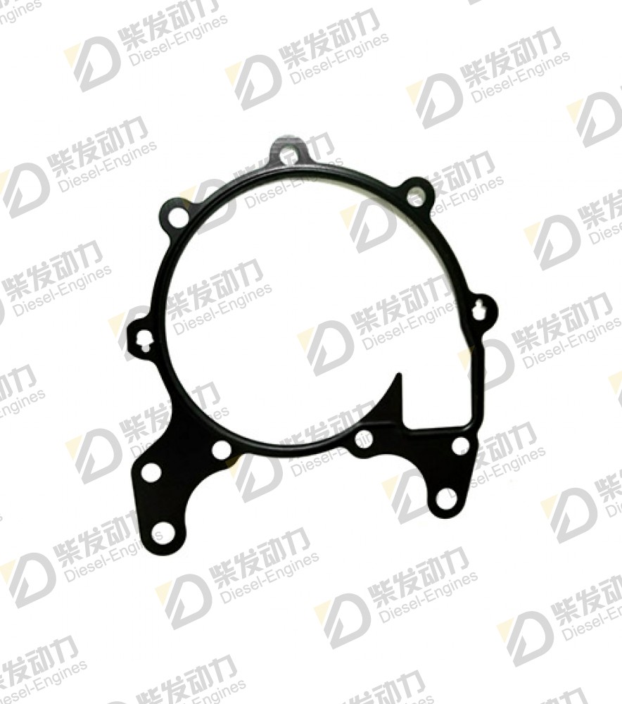 Gasket 21632658 